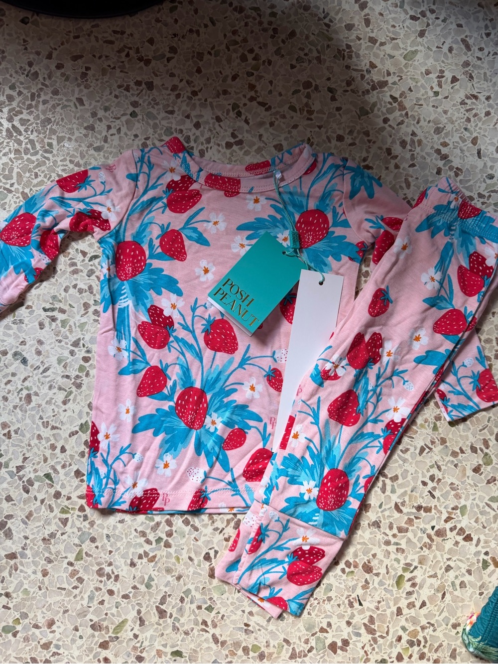 Posh Peanut Pink Strawberry Floral Pajama Top with Teal Accents